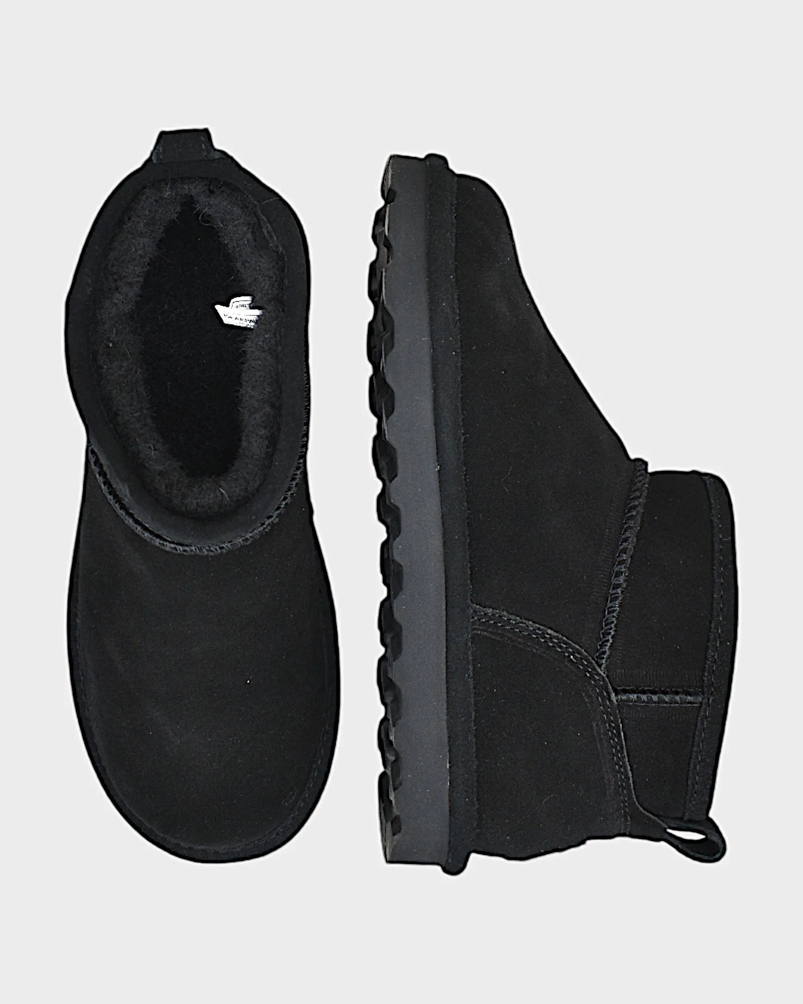 Bearpaw Shorty