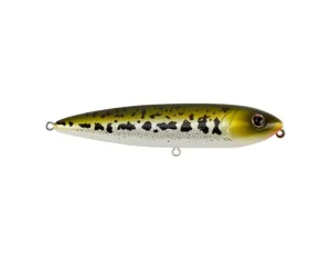 Berkley J-Walker 100