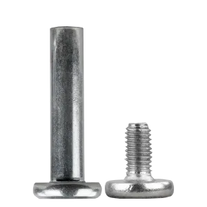 Crazy Inline Bolt Short