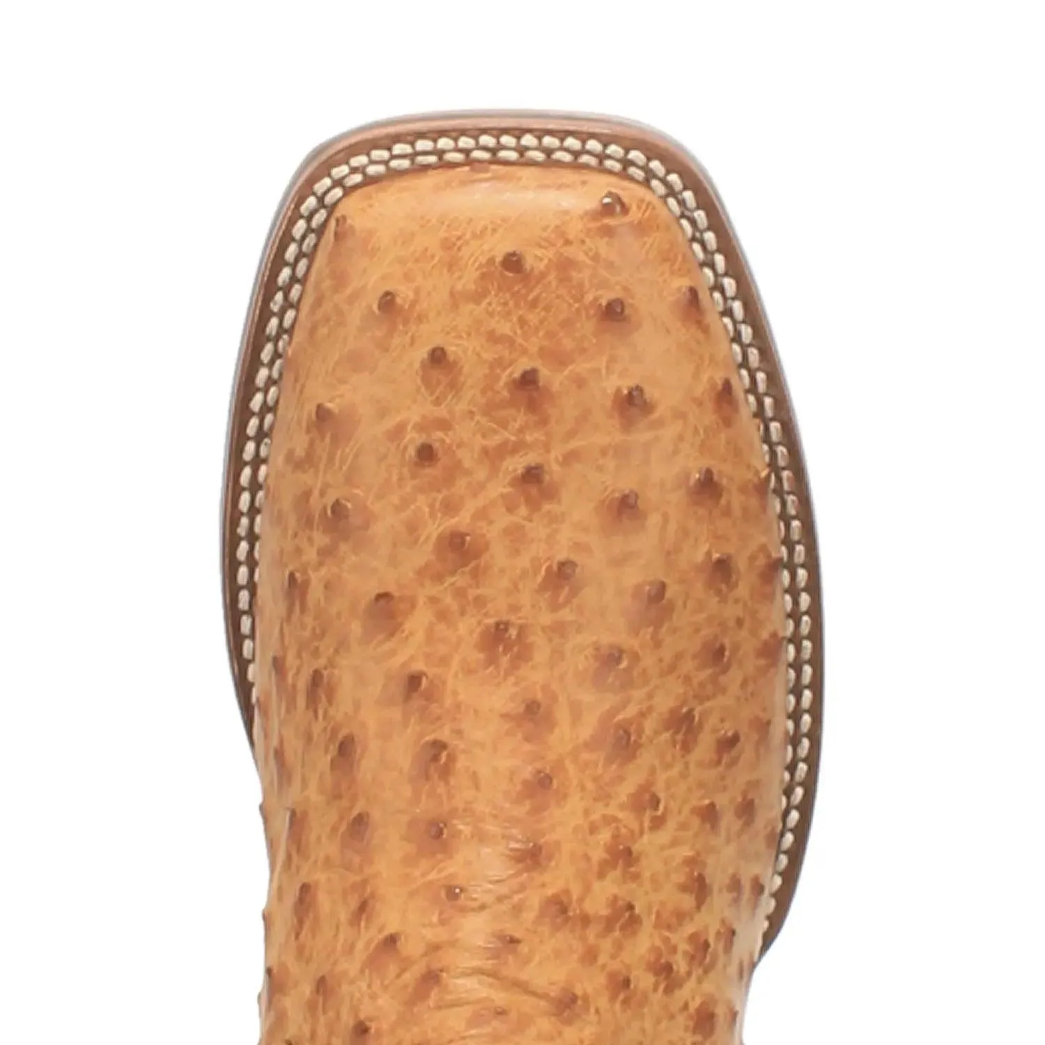 Dan Post Men's Kershaw Full Quill Ostrich Boot DP4951