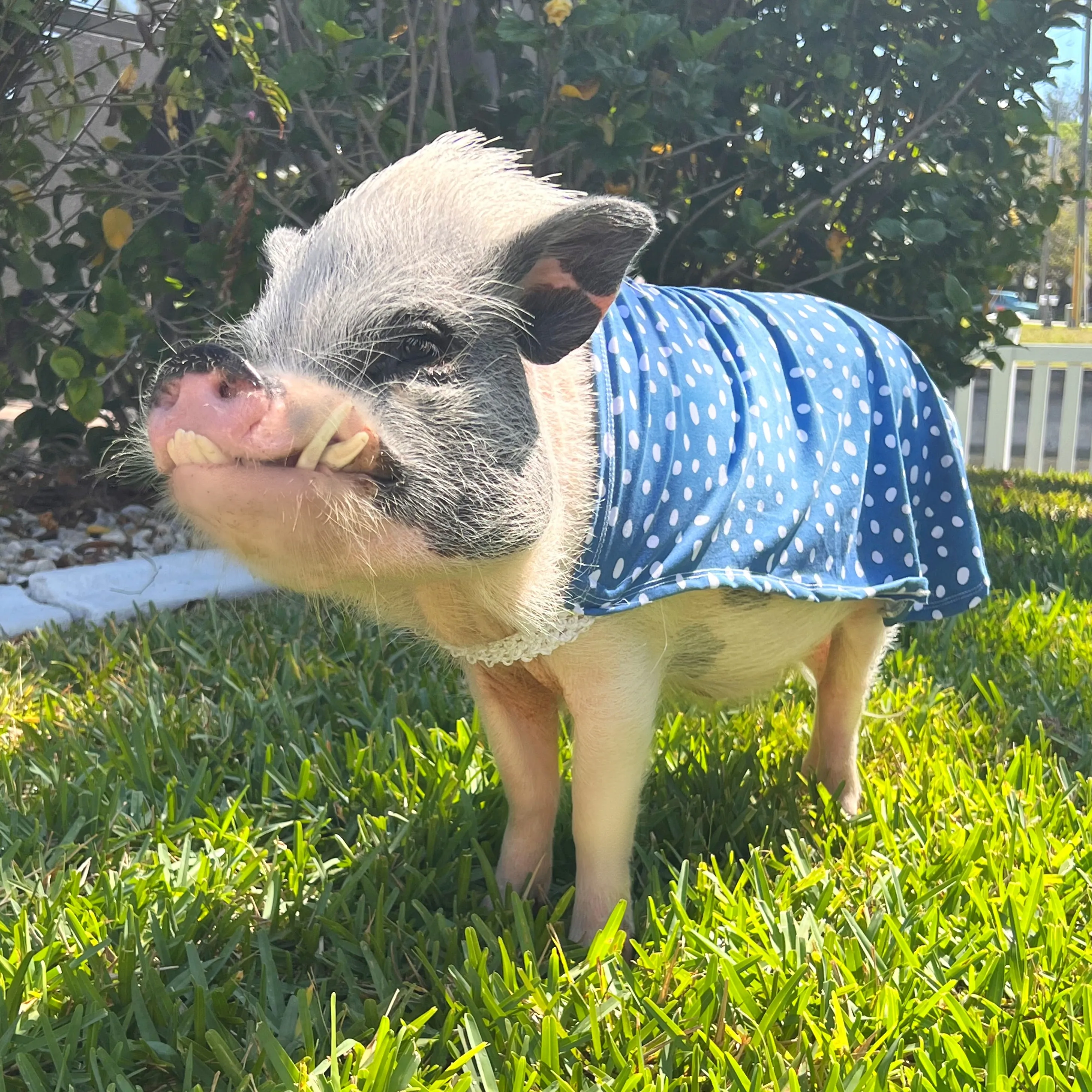 Easy-on Summer Sun Cloak