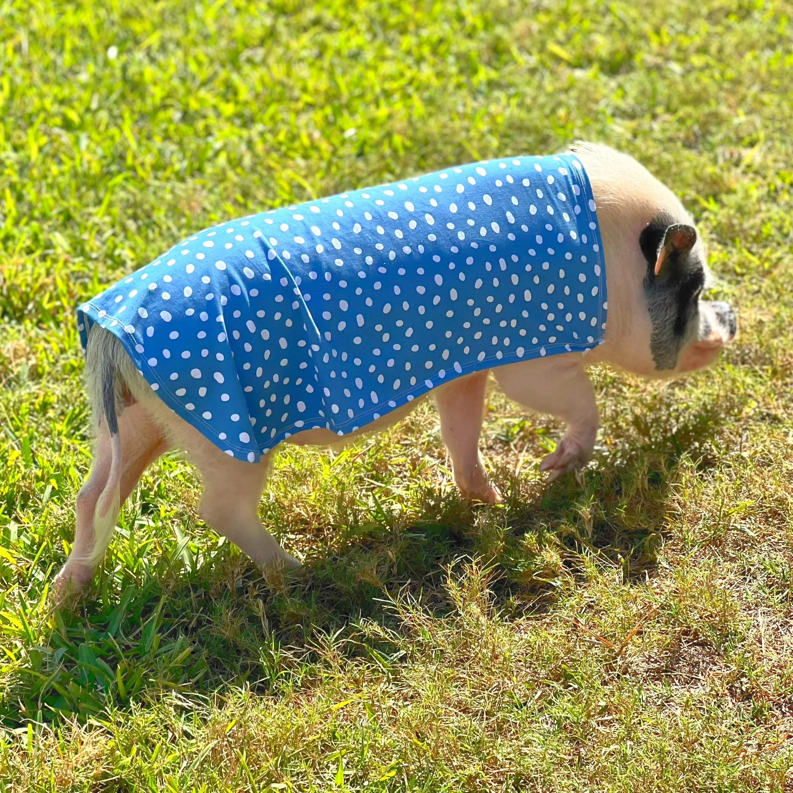 Easy-on Summer Sun Cloak