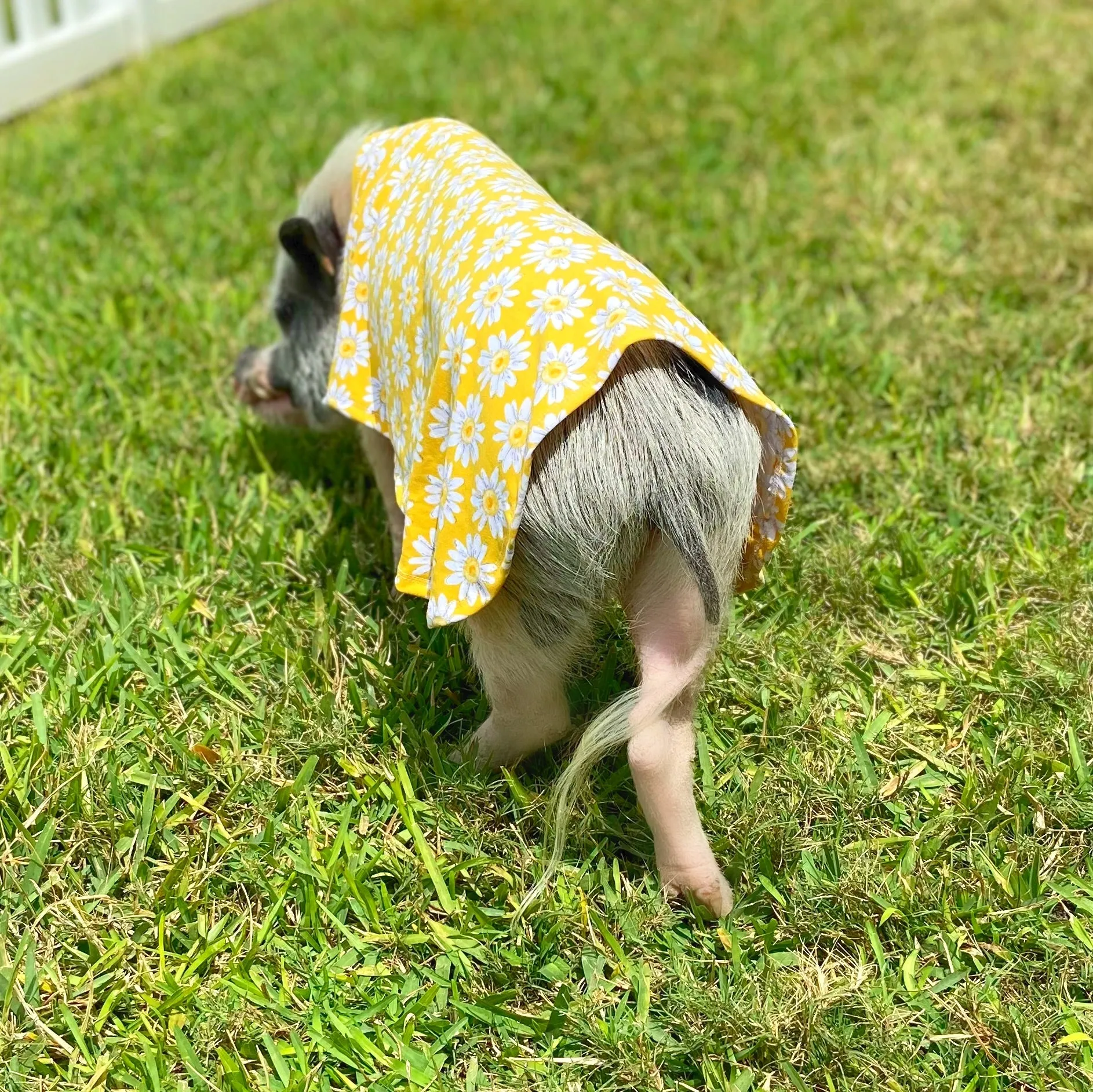 Easy-on Summer Sun Cloak