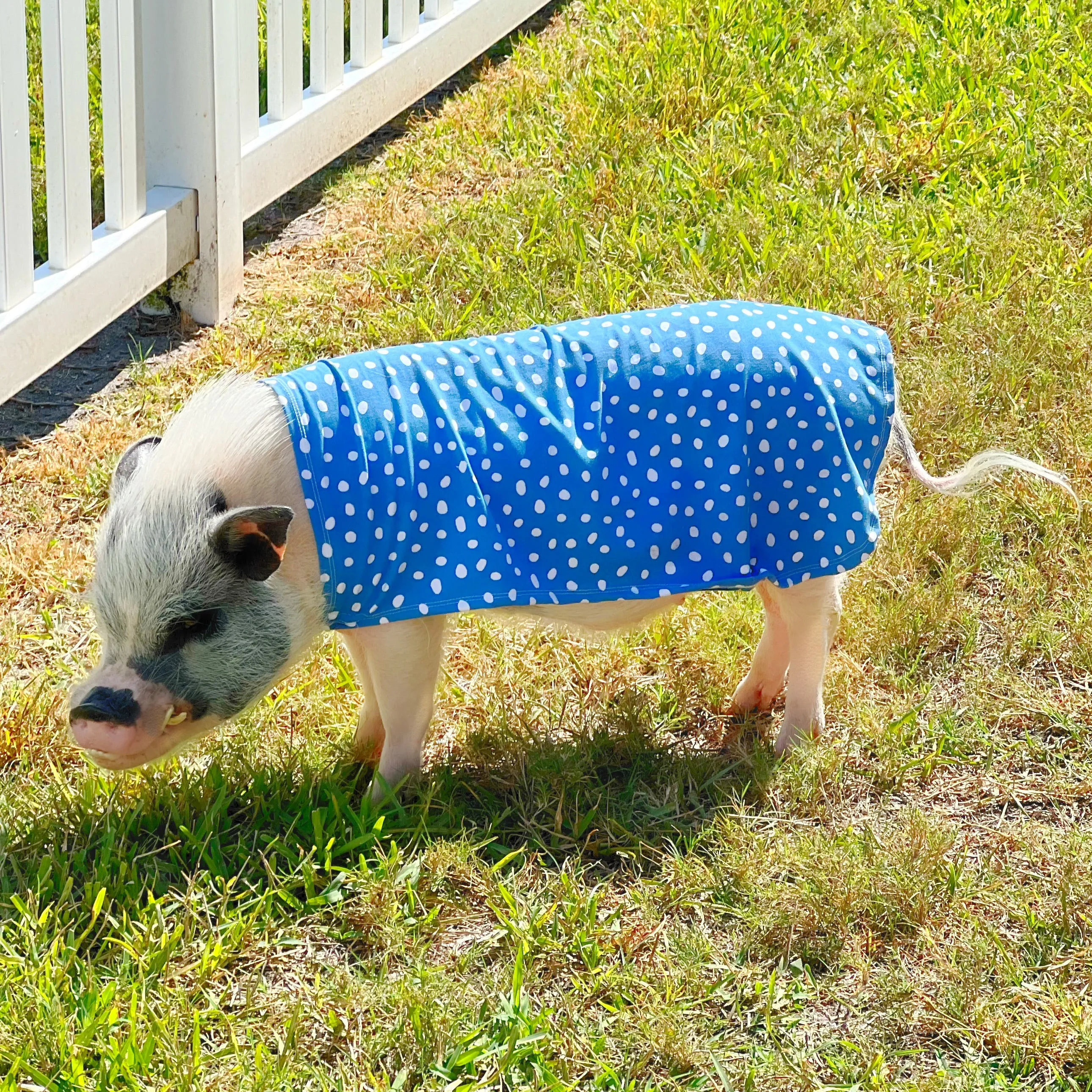 Easy-on Summer Sun Cloak