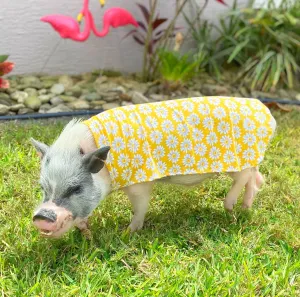 Easy-on Summer Sun Cloak