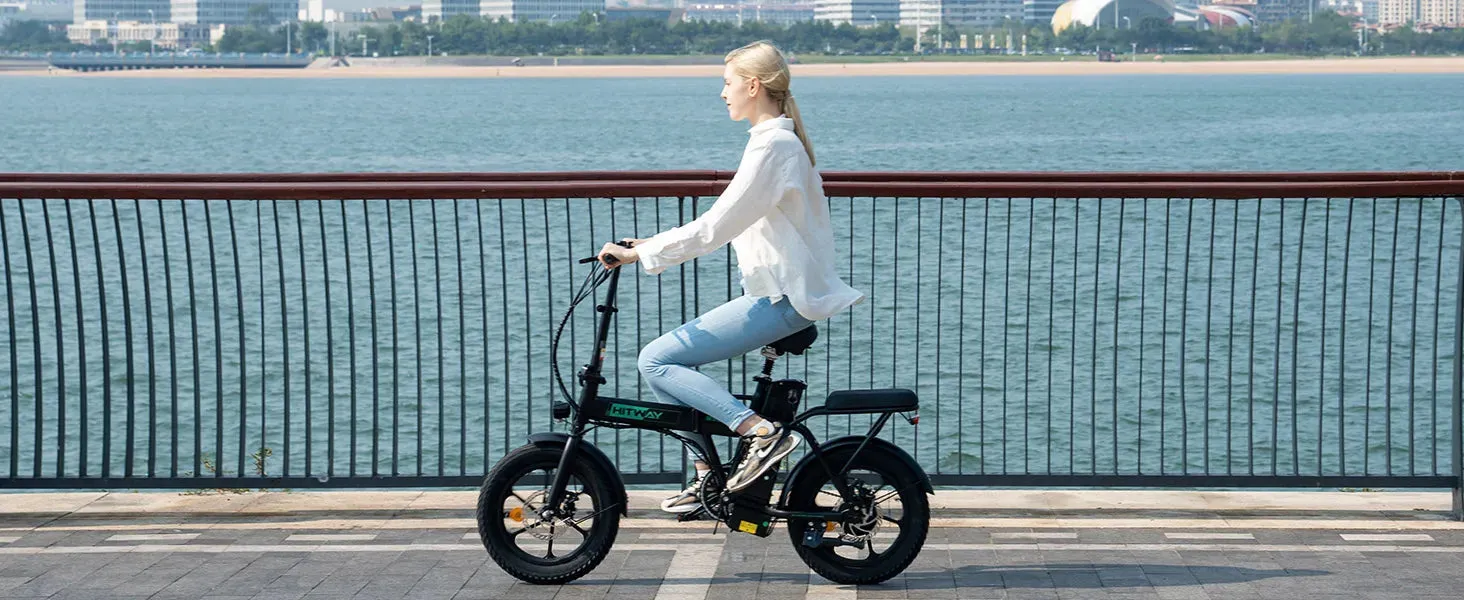 Electric Bike for Adults, E Bike with 36V/12Ah Removable Battery 16"×3.0 Fat Tire Folding Electric Bicycle 500W Motor