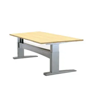 Electric Height Adjustable Table