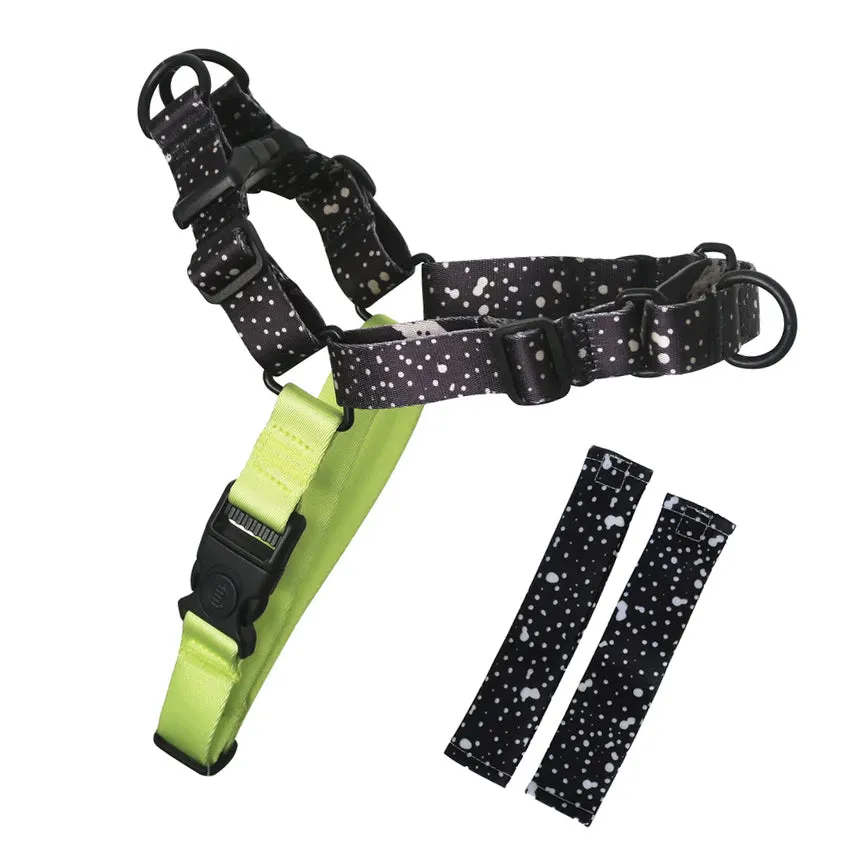 Jackson RNT No-Pull Training Harness