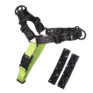 Jackson RNT No-Pull Training Harness
