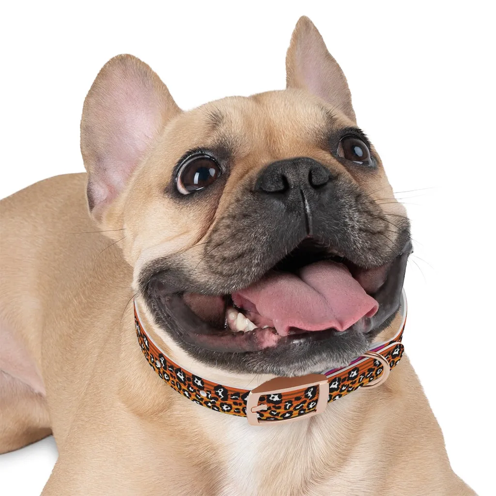 Snow Leopard Serape Dog Collar