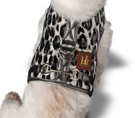 Snow Leopard
