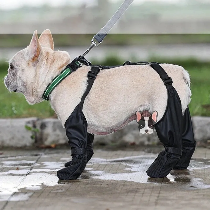 Vancouver Dog Boots