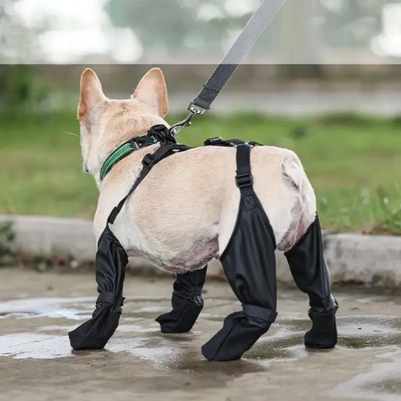 Vancouver Dog Boots