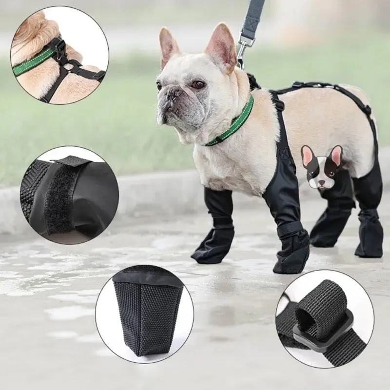 Vancouver Dog Boots