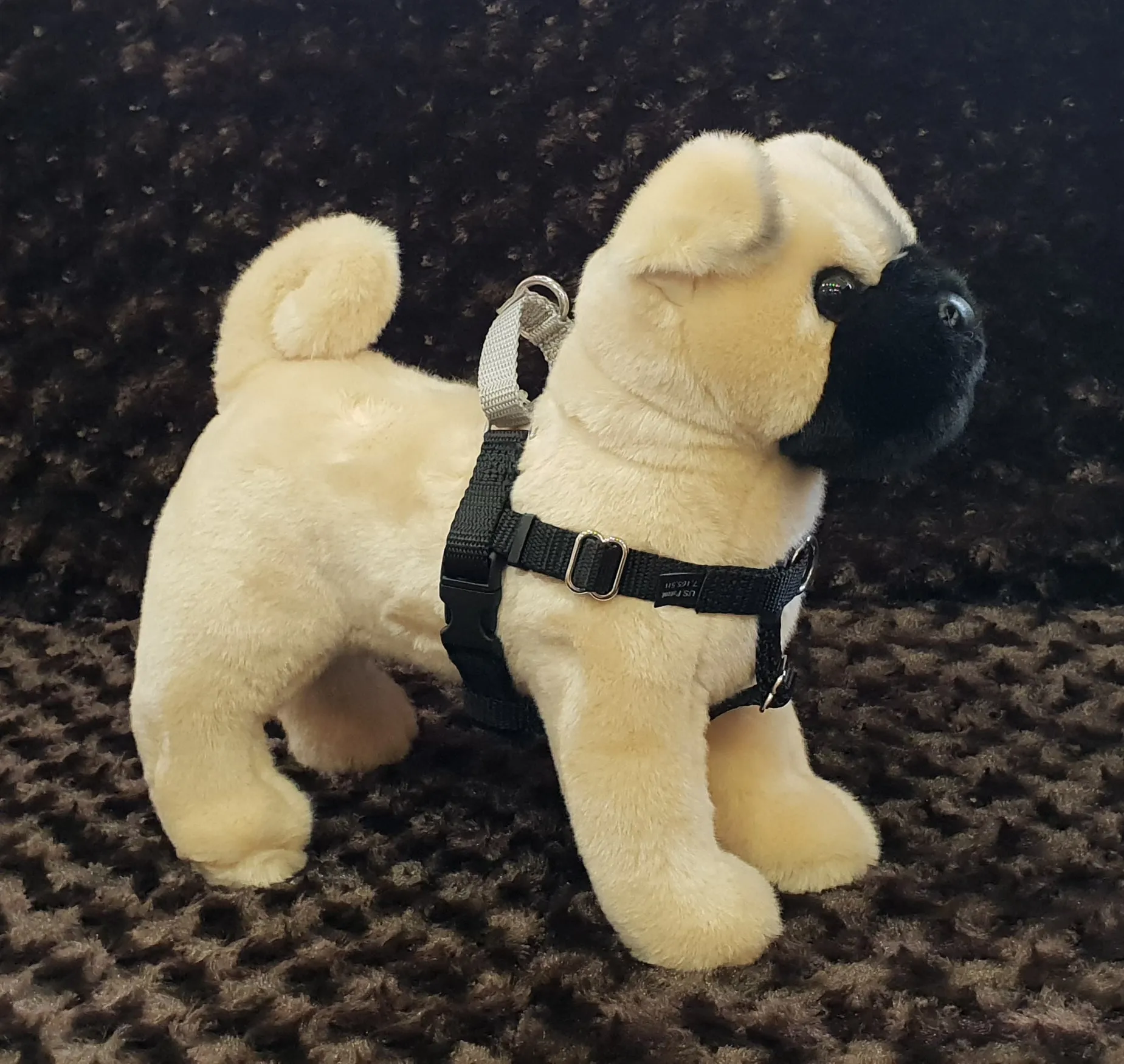 Wig No Pull Harness 1" Medium - Large