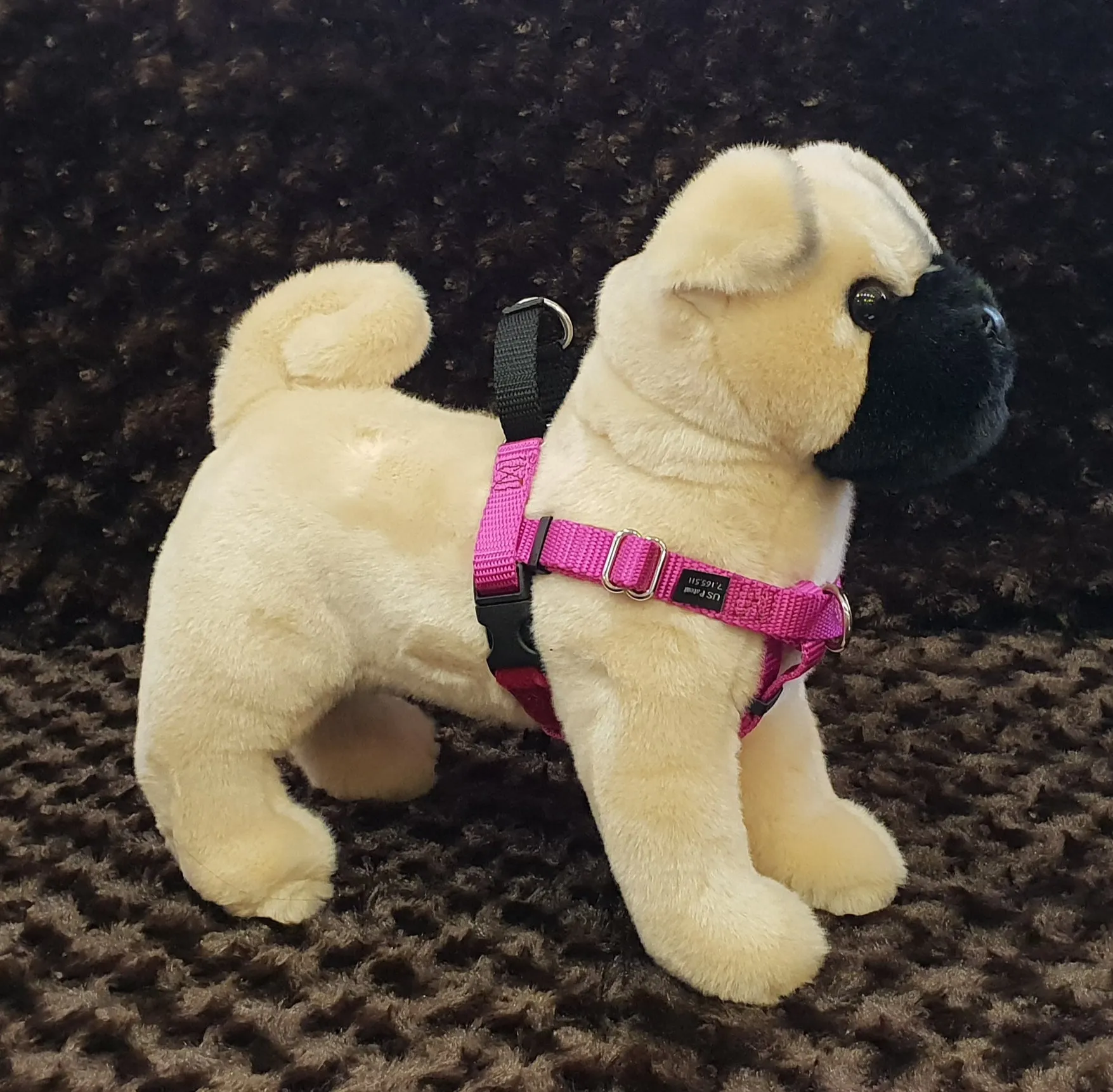 Wig No Pull Harness 1" Medium - Large