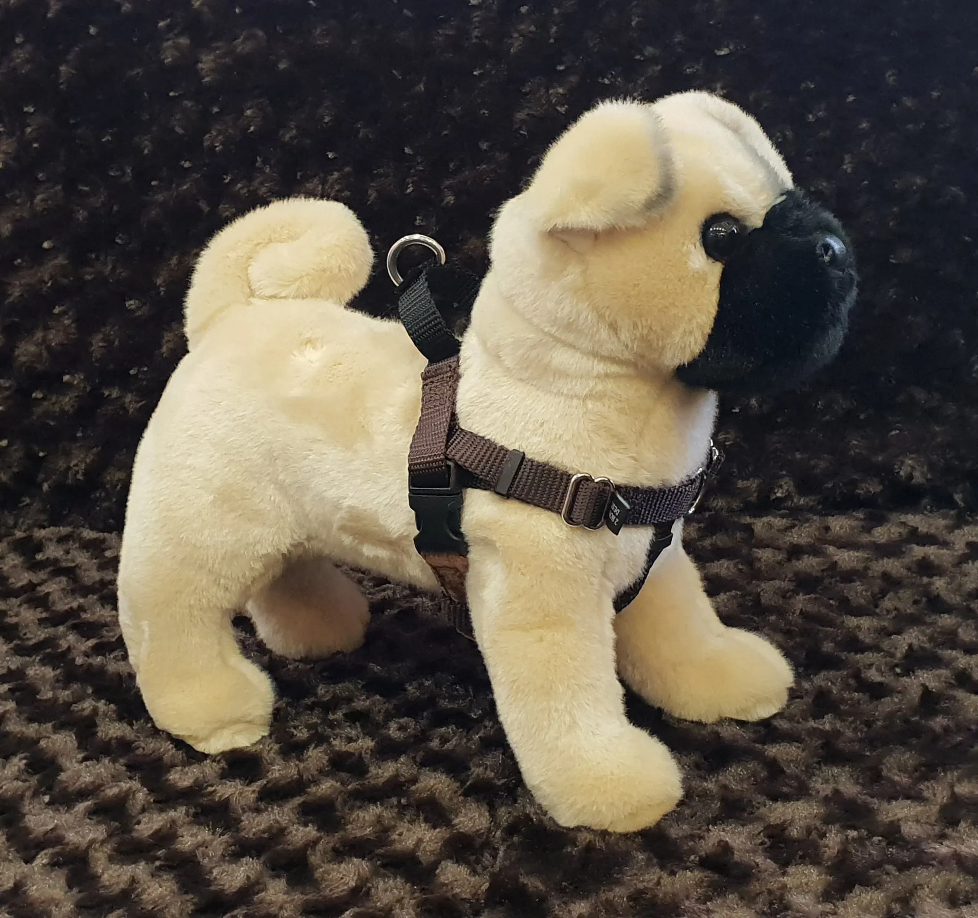 Wig No Pull Harness 1" Medium - Large